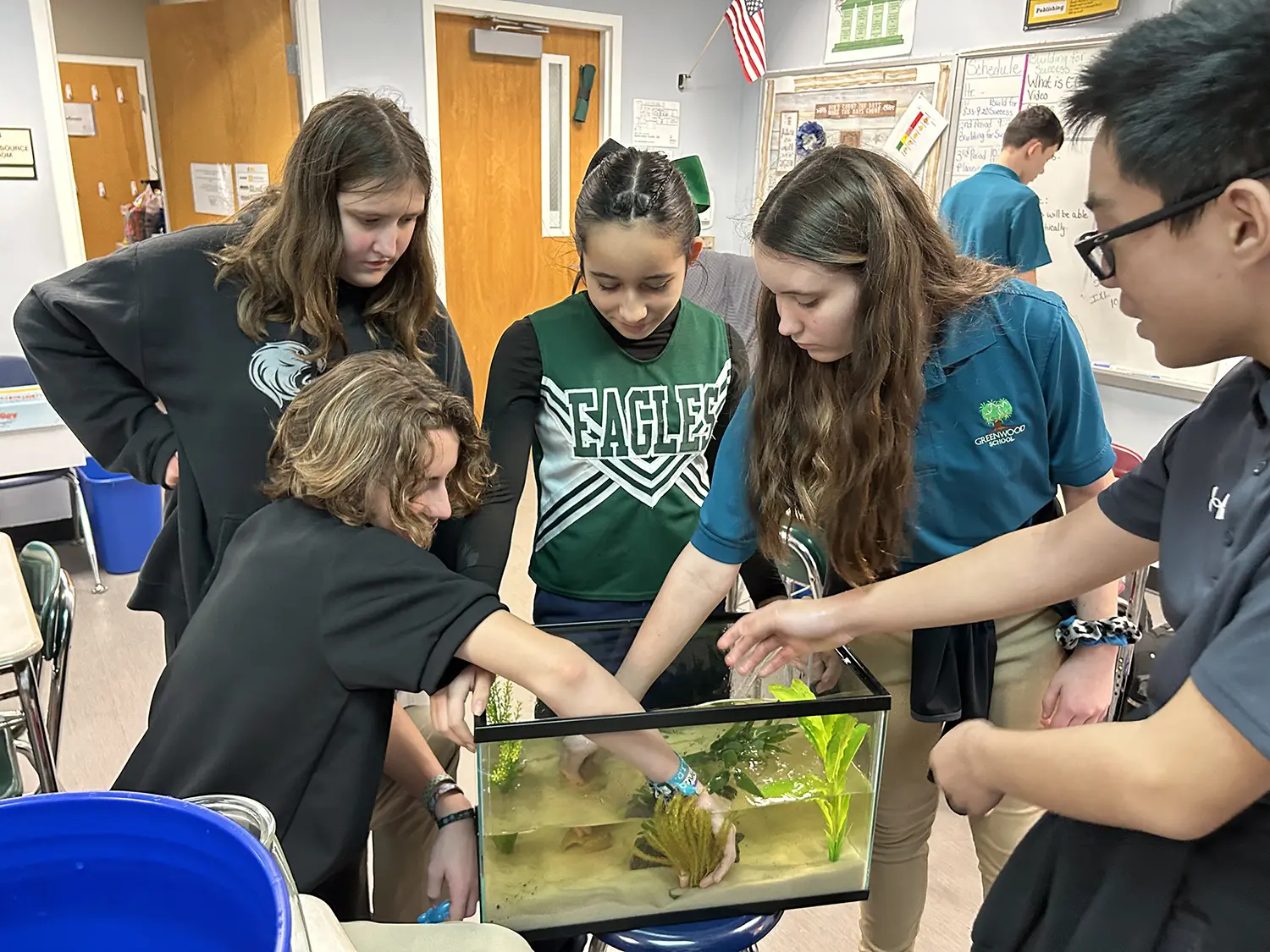 Aquarium | Greenwood School